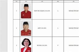 Daftar Caleg Dprd Dki Jakarta 2024 Pdip